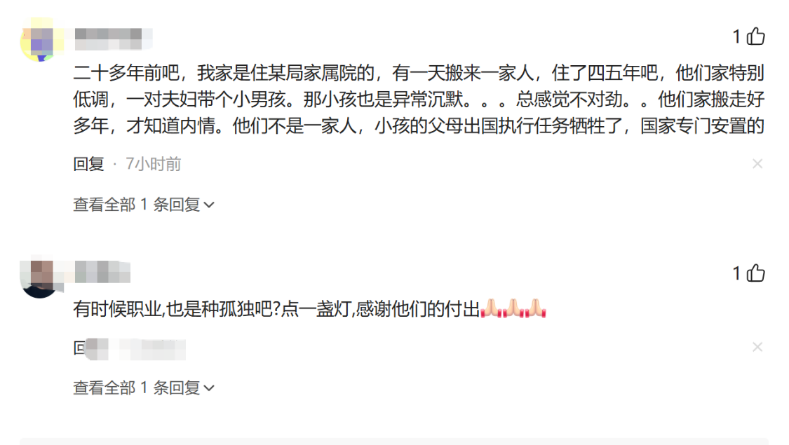 蜂鸟电竞-原来有这么多工作需要保密！网友：牺牲12年的爸爸竟然回来了！